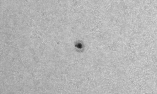 2024年6月6日の黒点（活動領域13704）