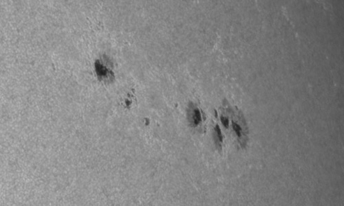 2024年6月7日の黒点（活動領域13698）