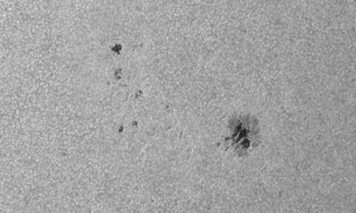 2024年6月7日の黒点（活動領域13701）