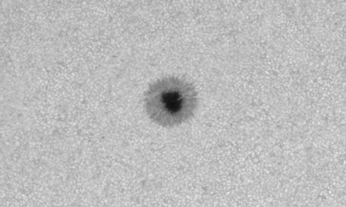 2024年6月7日の黒点（活動領域13702）