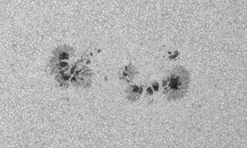 2024年6月7日の黒点（活動領域13703）