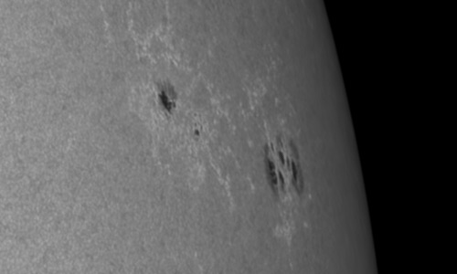 2024年6月8日の黒点（活動領域13698）