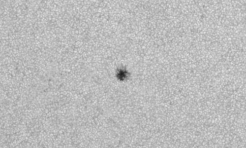 2024年6月8日の黒点（活動領域13704）