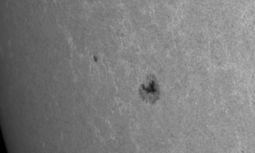 2024年6月8日の黒点（活動領域13708）