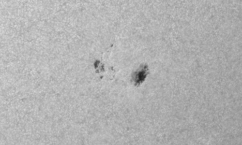 2024年6月9日の黒点（活動領域13710）