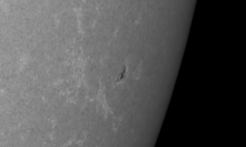 2024年6月9日の黒点（活動領域13701）