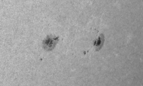 2024年6月9日の黒点（活動領域13703）