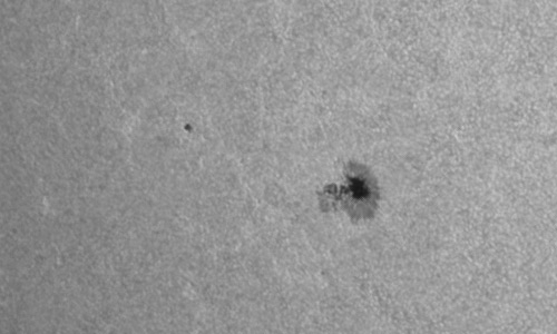 2024年6月9日の黒点（活動領域13708）