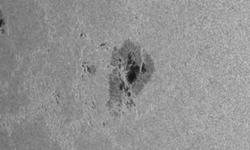 2024年6月9日の黒点（活動領域13709）