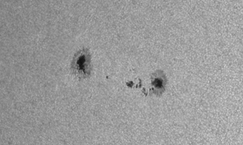 2024年6月14日の黒点（活動領域13716）