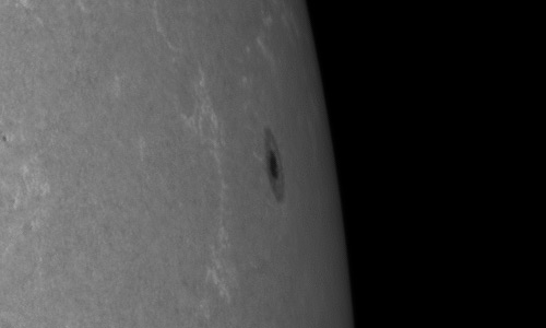 2024年6月14日の黒点（活動領域13702）