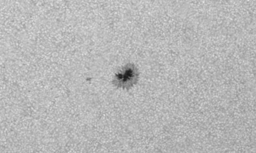 2024年6月14日の黒点（活動領域13708）