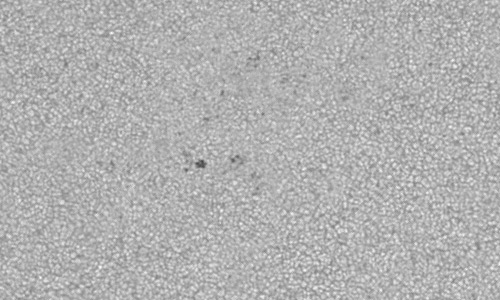 2024年6月14日の黒点（活動領域13714）