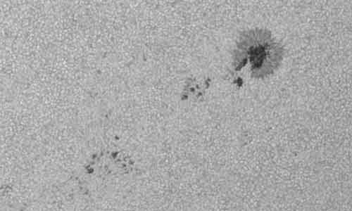 2024年6月15日の黒点（活動領域13709）