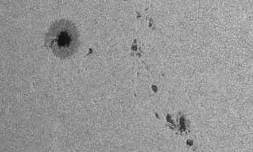 2024年6月15日の黒点（活動領域13713）