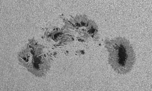 2024年6月15日の黒点（活動領域13712）