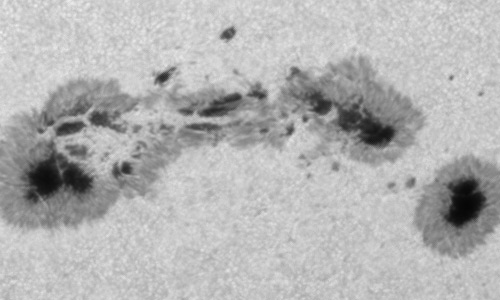 2024年6月18日の黒点（活動領域13712）