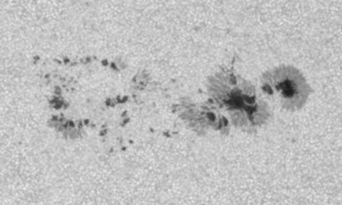 2024年6月18日の黒点（活動領域13716）