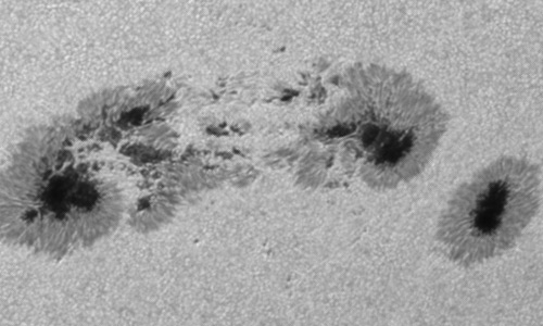 2024年6月19日の黒点（活動領域13712）