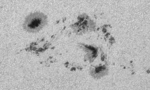 2024年6月19日の黒点（活動領域13713）