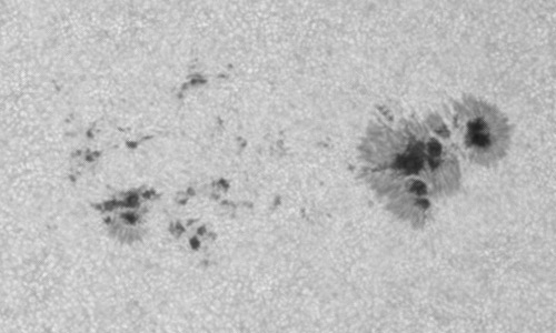 2024年6月19日の黒点（活動領域13716）