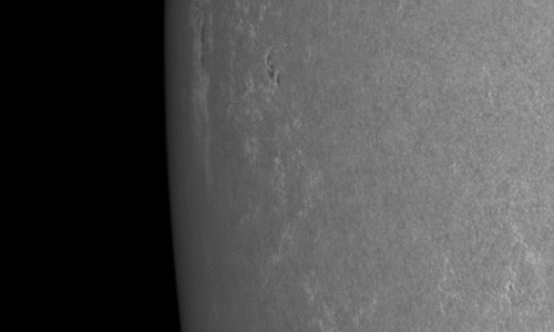 2024年6月23日の黒点（活動領域13726）