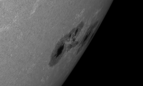 2024年6月23日の黒点（活動領域13712）