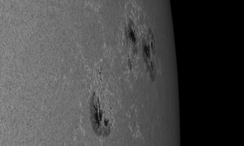 2024年6月23日の黒点（活動領域13716）