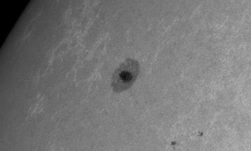 2024年6月23日の黒点（活動領域13721）