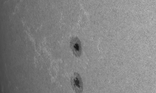 2024年6月23日の黒点（活動領域13722）