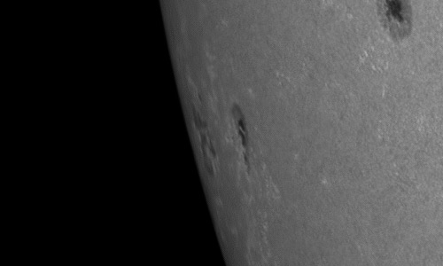 2024年6月23日の黒点（活動領域13723）