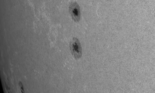 2024年6月23日の黒点（活動領域13724）