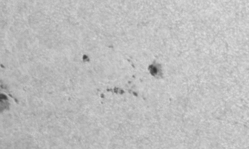 2024年6月26日の黒点（活動領域13730）