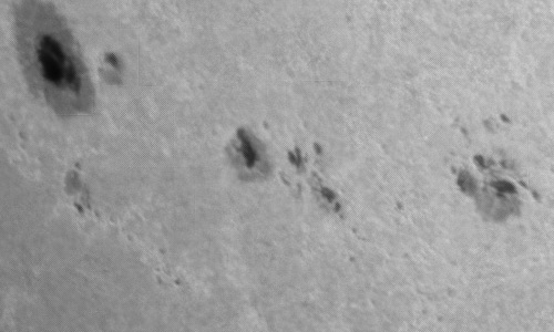 2024年6月26日の黒点（活動領域13732）