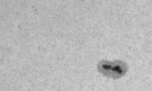 2024年6月26日の黒点（活動領域13721）