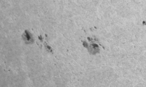 2024年6月26日の黒点（活動領域13723）