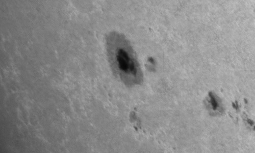 2024年6月26日の黒点（活動領域13727）