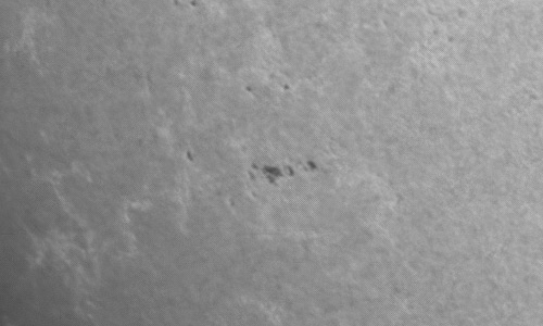 2024年6月26日の黒点（活動領域13728）