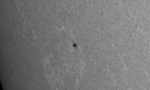 2024年6月28日の黒点（活動領域13731）