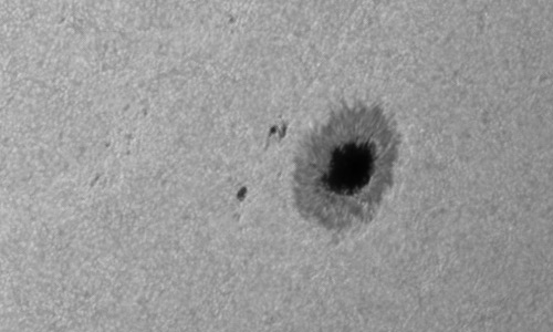 2024年6月28日の黒点（活動領域13719）