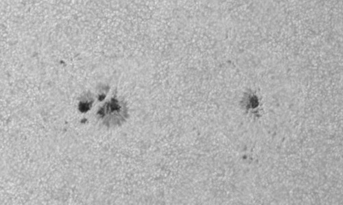 2024年6月28日の黒点（活動領域13720）