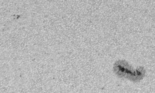 2024年6月28日の黒点（活動領域13721）