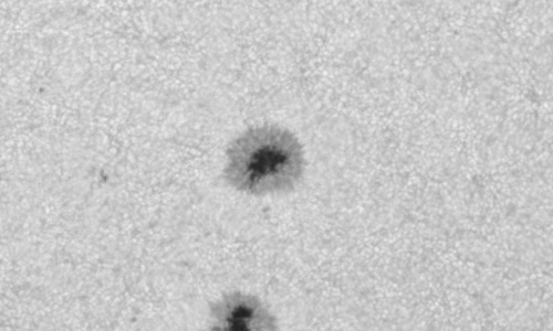 2024年6月28日の黒点（活動領域13722）