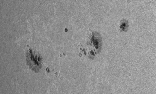 2024年6月28日の黒点（活動領域13729）