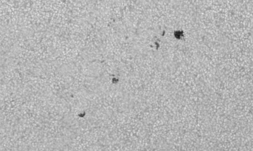 2024年6月29日の黒点（活動領域13730）