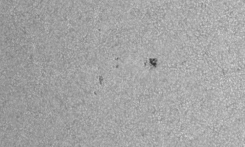 2024年6月29日の黒点（活動領域13733）