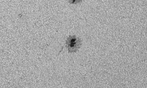 2024年6月29日の黒点（活動領域13724）