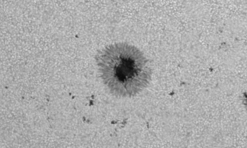 2024年6月29日の黒点（活動領域13727）