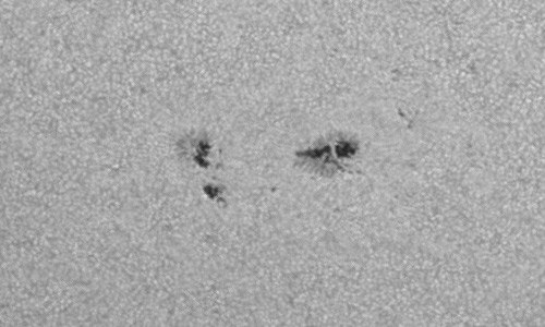 2024年6月29日の黒点（活動領域13728）