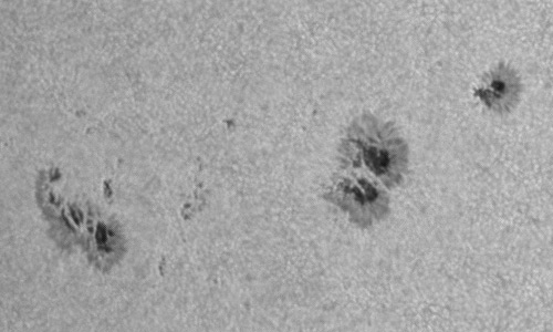 2024年6月29日の黒点（活動領域13729）